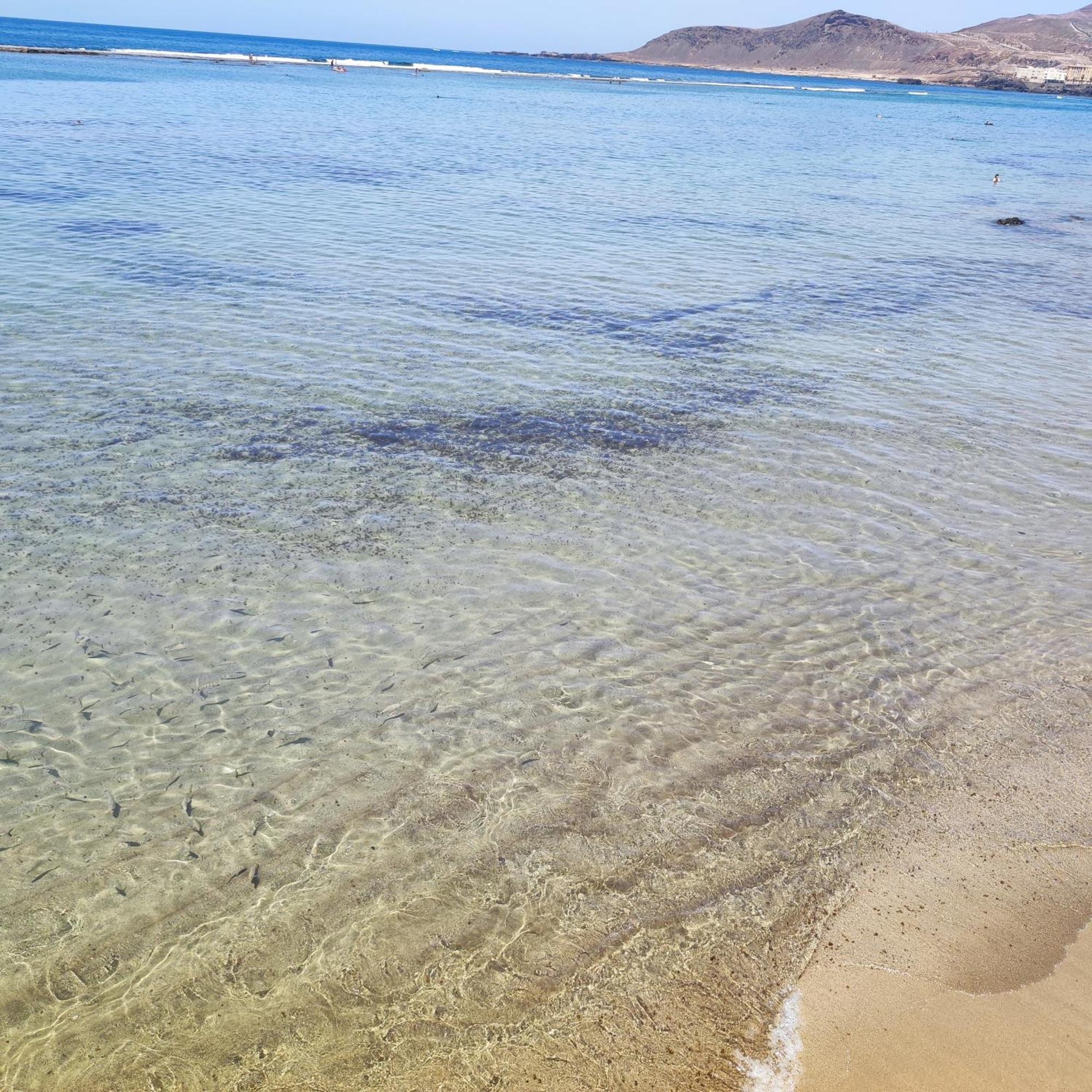 Mirlo Canteras ラスパルマス・デ・グランカナリア エクステリア 写真